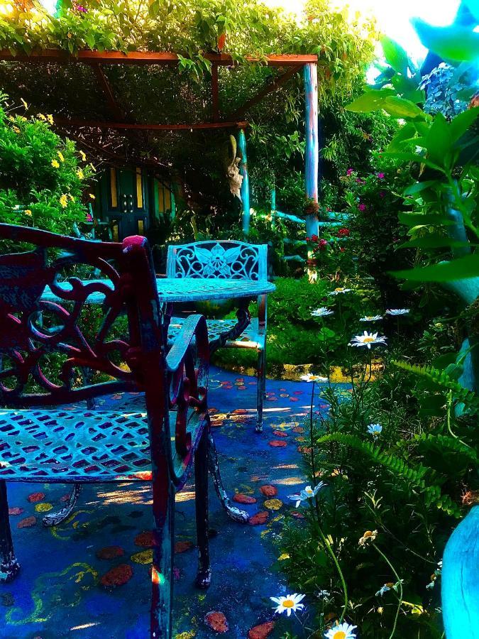 Heidi'S Home Нувара-Элия Экстерьер фото